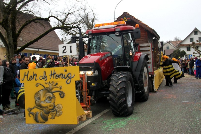 Sarmenstorf Fasnachtsumzug 16.02.2014 (74)